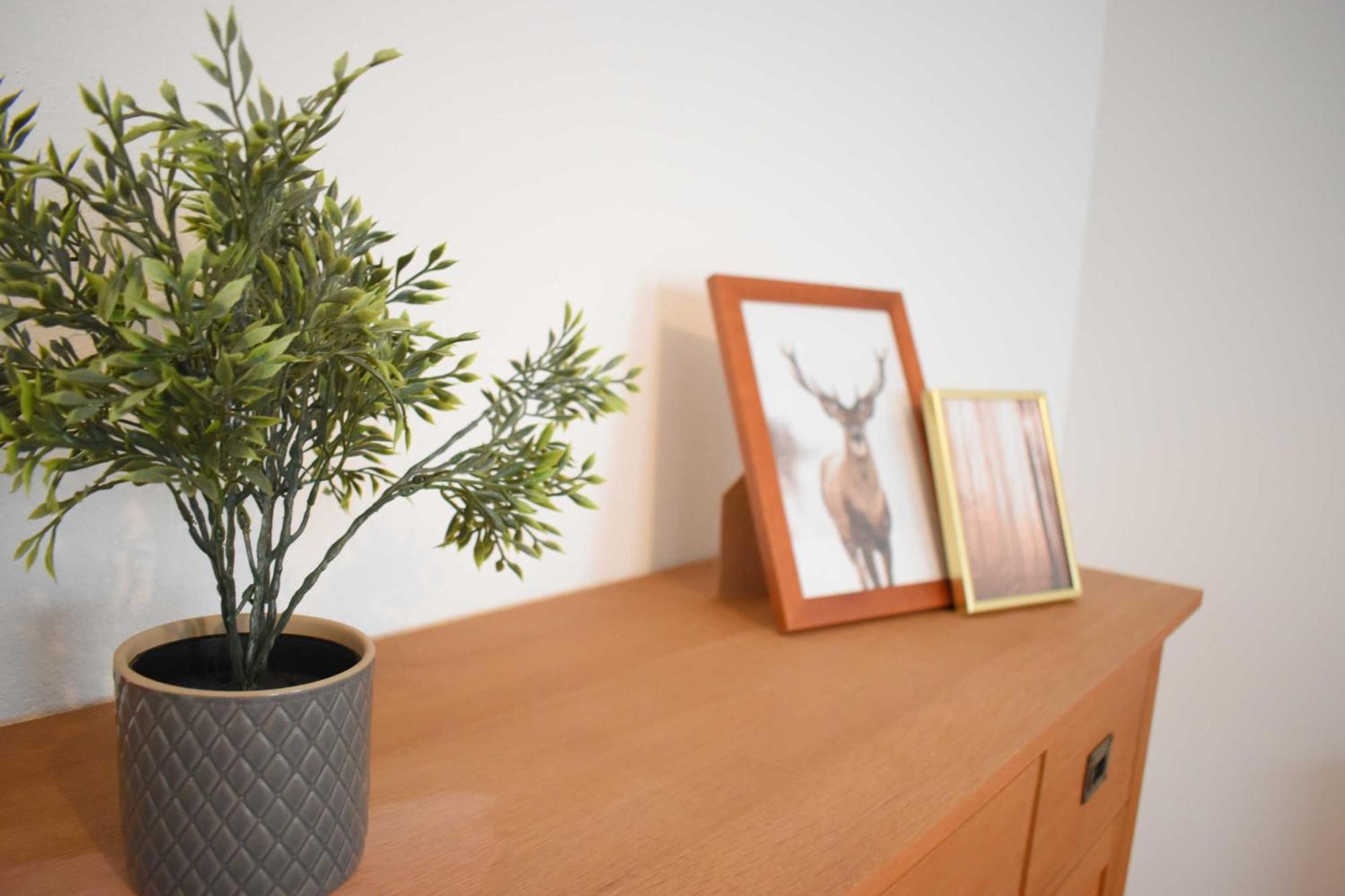 Ob Ferienwohnung Sensbachtal Unter-Sensbach Luaran gambar